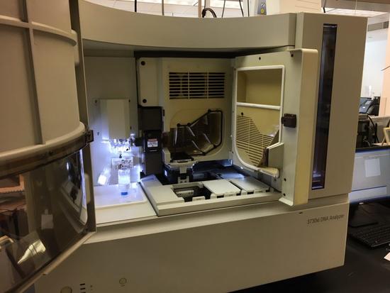 DNA Sequencer DNA Sequencer