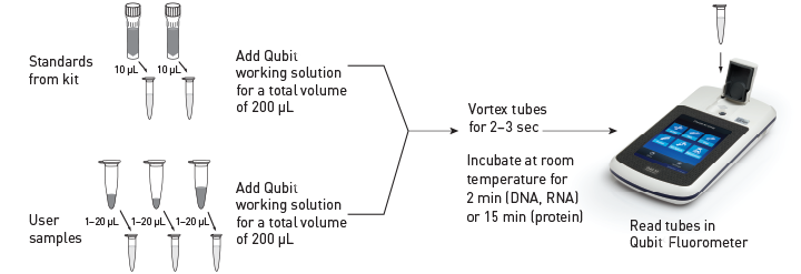 Simple Qubit workflow